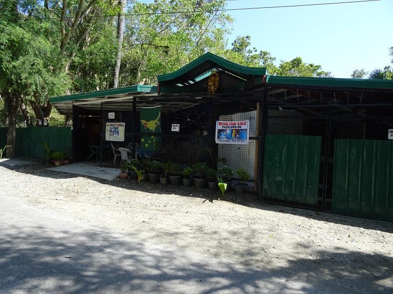 Happy Buddha Inn Puerto Galera Exterior photo